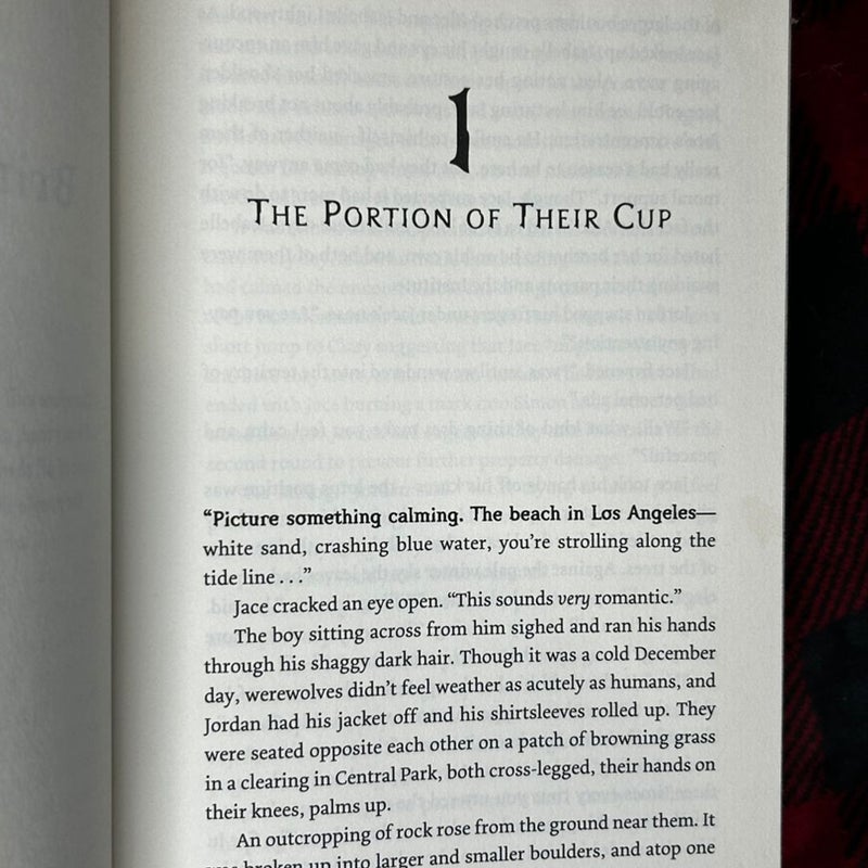 City of Heavenly Fire