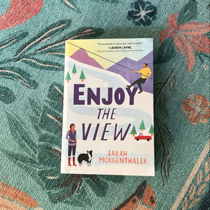 Enjoy the View