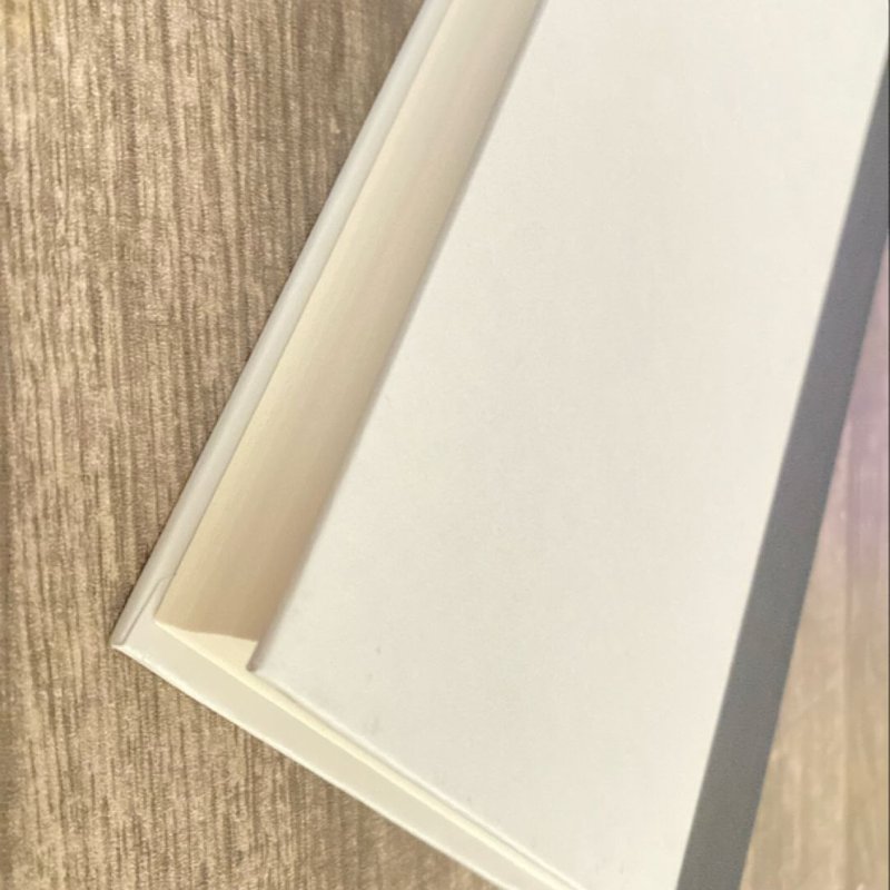 How Quickly She Disappears 