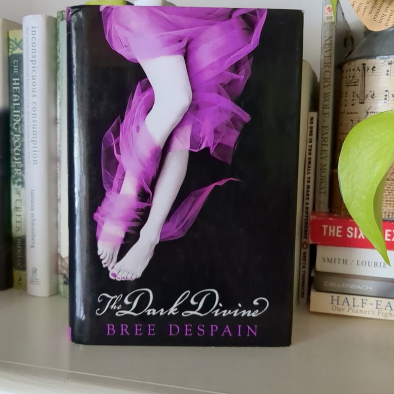 Dark Divine Series