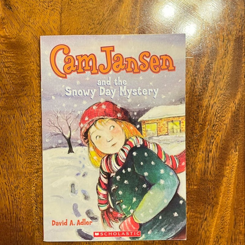 Cam Jansen and the Snowy Day Mystery