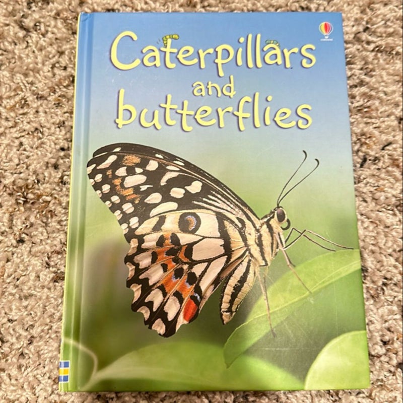 Caterpillars and Butterflies