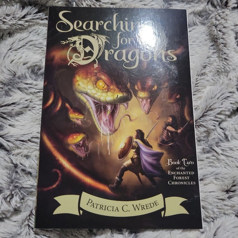 Searching for Dragons