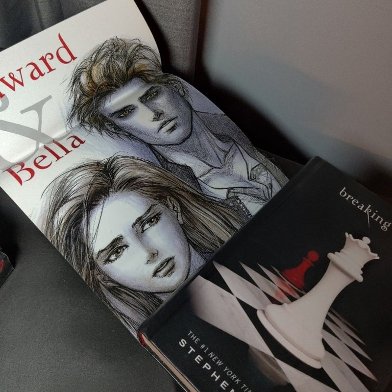 Twilight Saga 6 book collection 