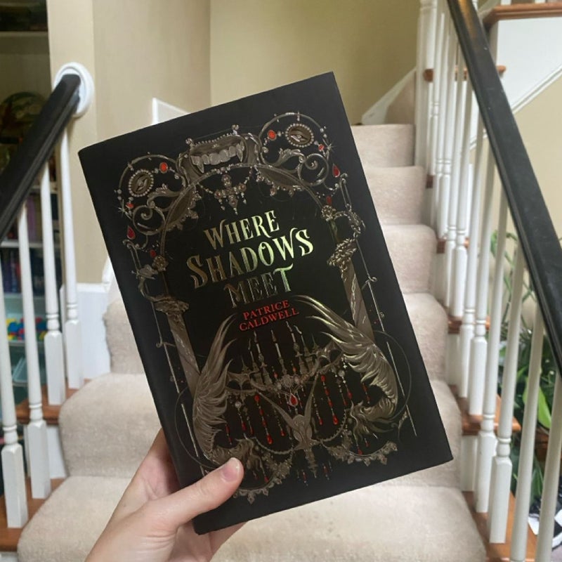 Where Shadows Meet (Fairyloot)