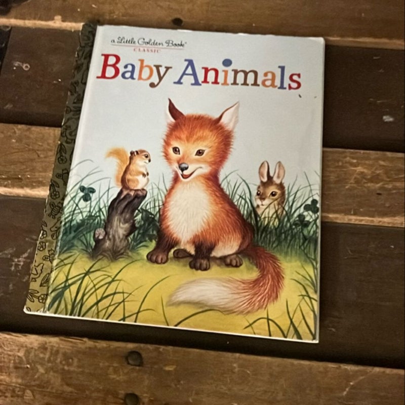 Baby Animals