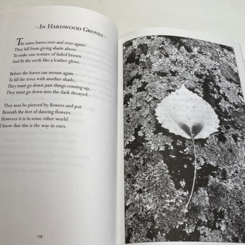 Selected Poems of Robert Frost