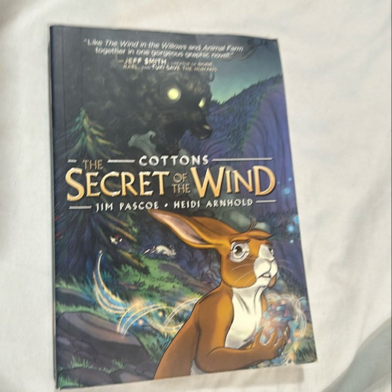 Cottons: the Secret of the Wind Graphic Novel