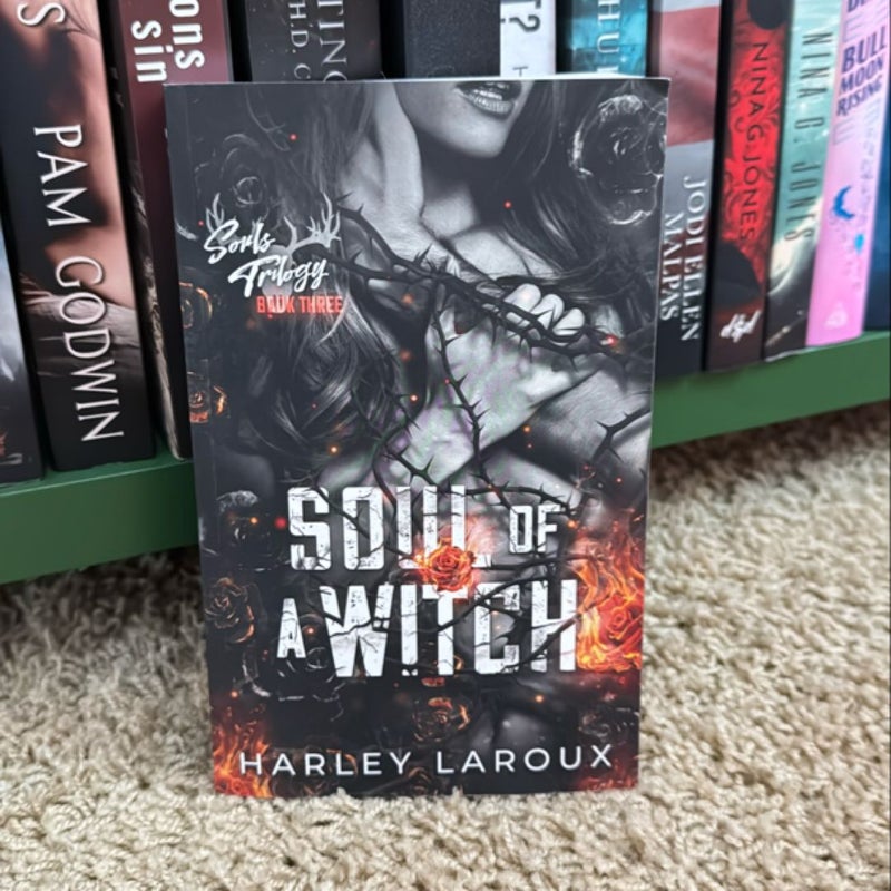 Soul of a Witch (OOP Indie Version) 