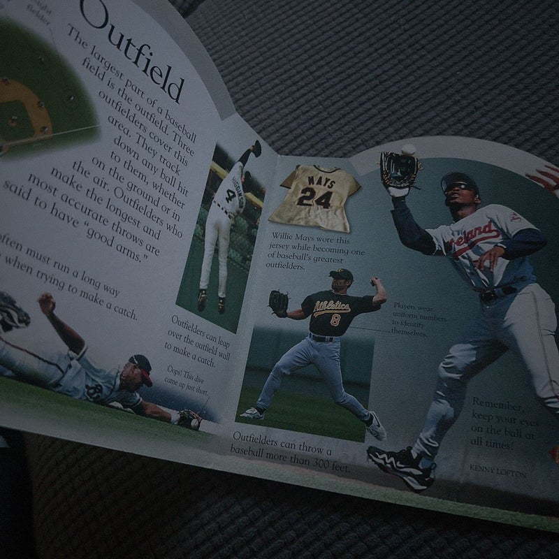 My Baseball Book