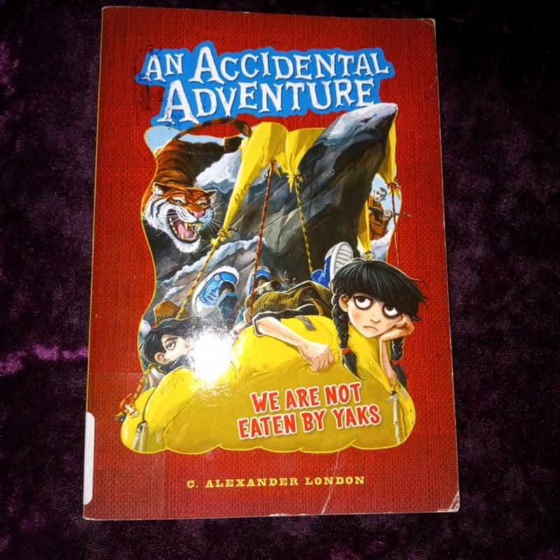 An Accidental Adventure 