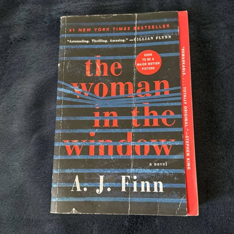 The Woman in the Window
