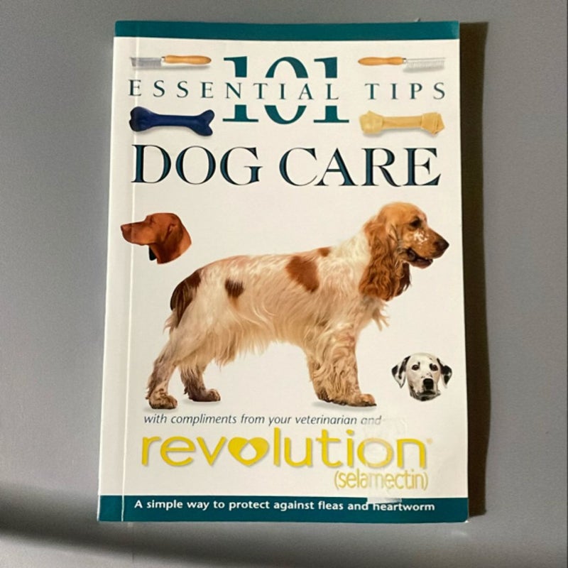 Essential Tips 101 Dog Care