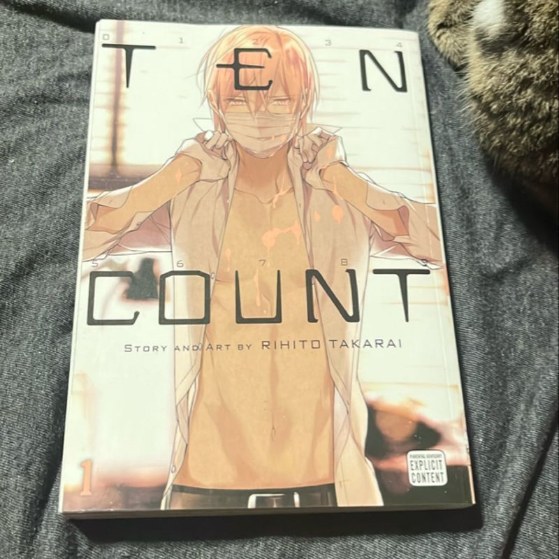 Ten Count, Vol. 1