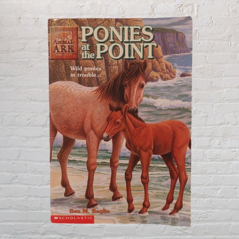 Ponies at the Point