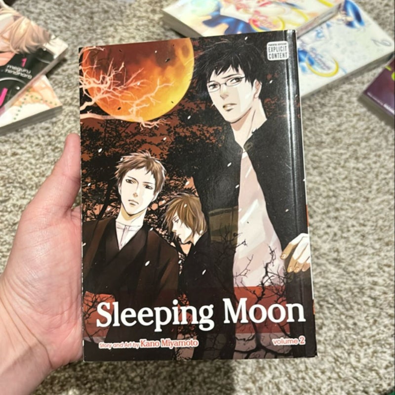 Sleeping Moon, Vol. 2