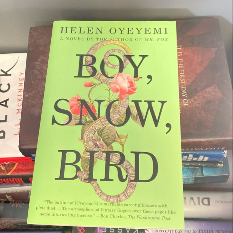 Boy, Snow, Bird