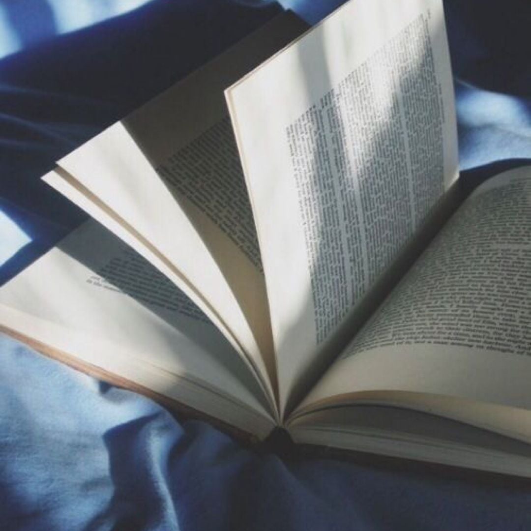 BluBookReader🩵📖