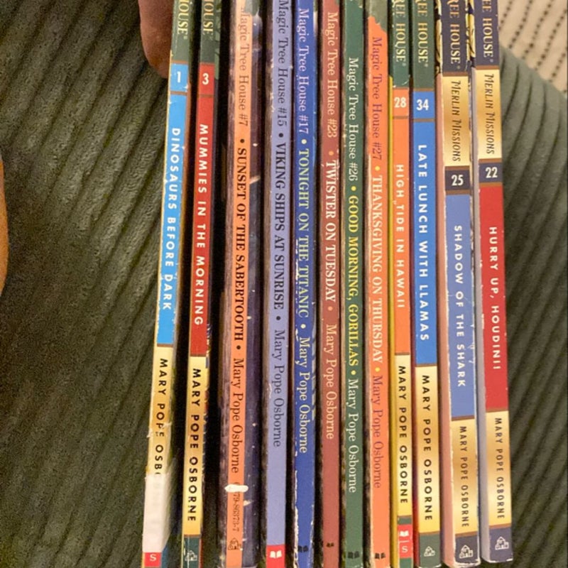 Magic Tree House Lot ( #1, 3, 7, 15, 17, 23  26, 27, 28, 34. Merlin Missions #22 and 25)