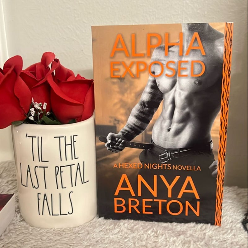 Anya Breton Bundle 