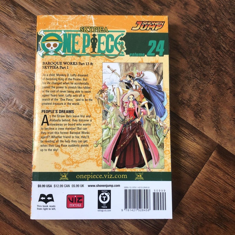 One Piece, Vol. 24