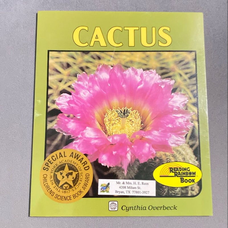 Cactus