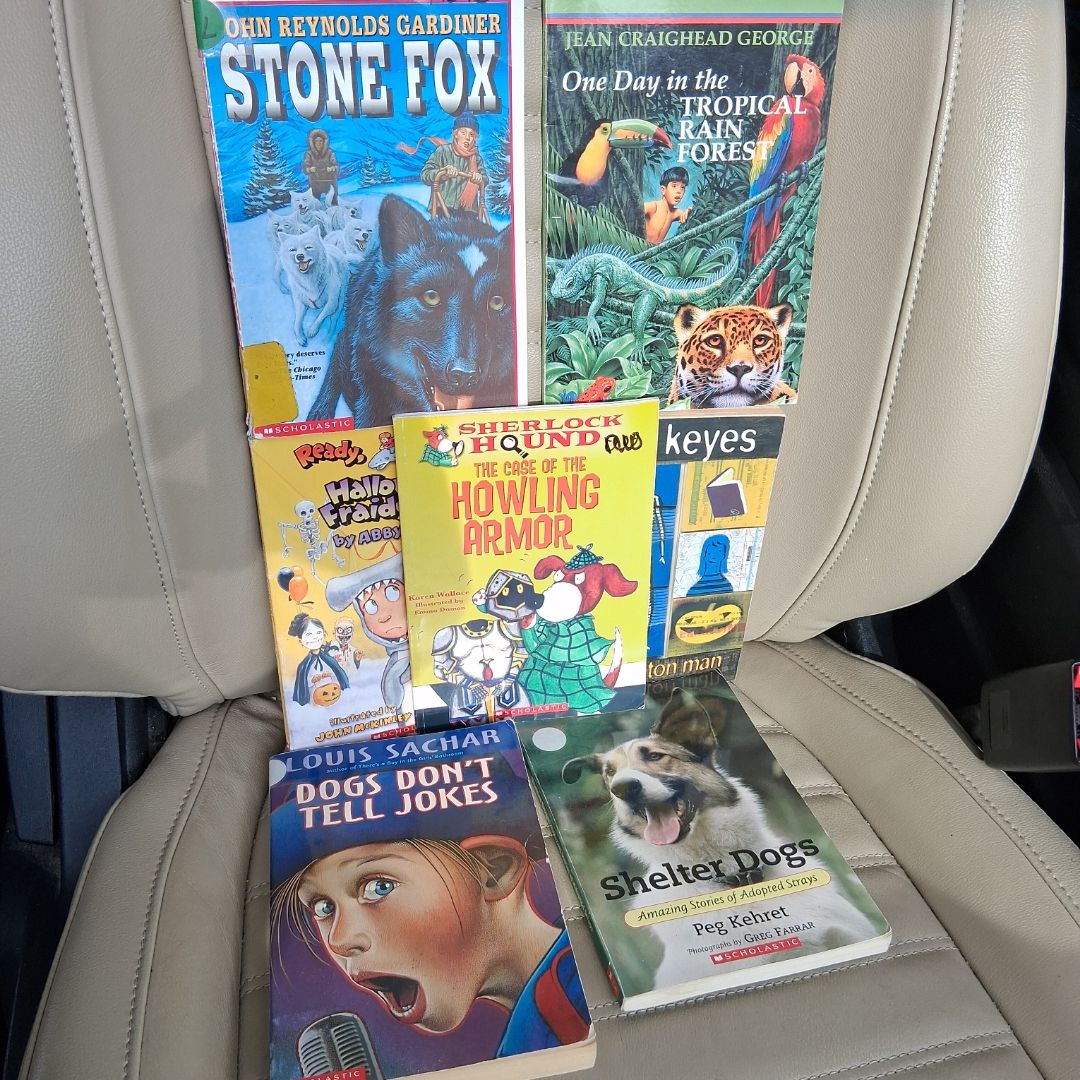 Stone Fox & 6 other scholastic books 