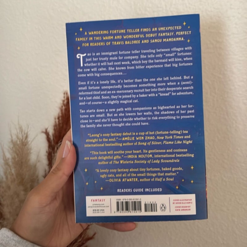 The Teller of Small Fortunes