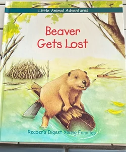Beaver Gets Lost 