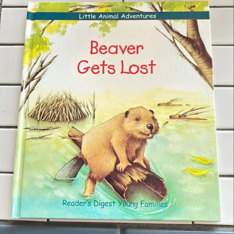 Beaver Gets Lost 