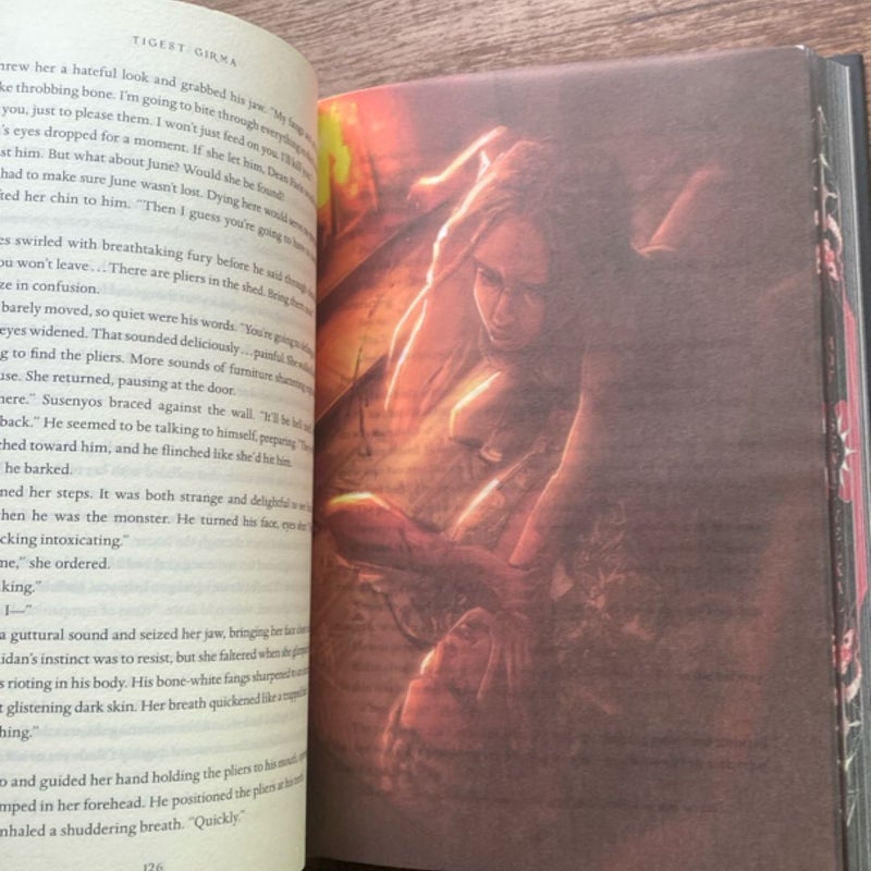 Immortal Dark Owlcrate