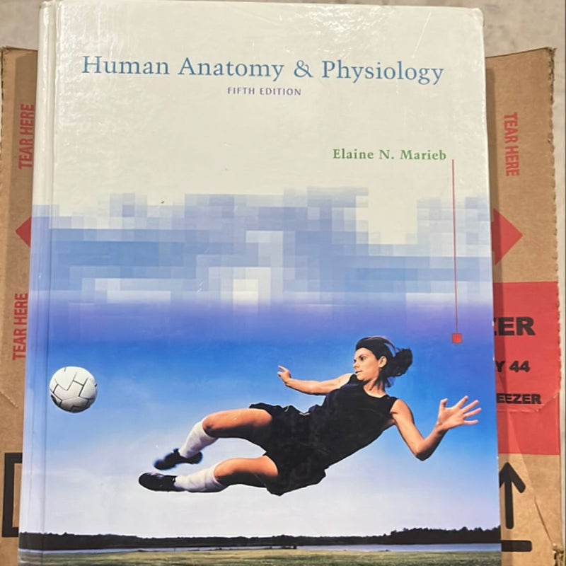 Human Anatomy and Physiology