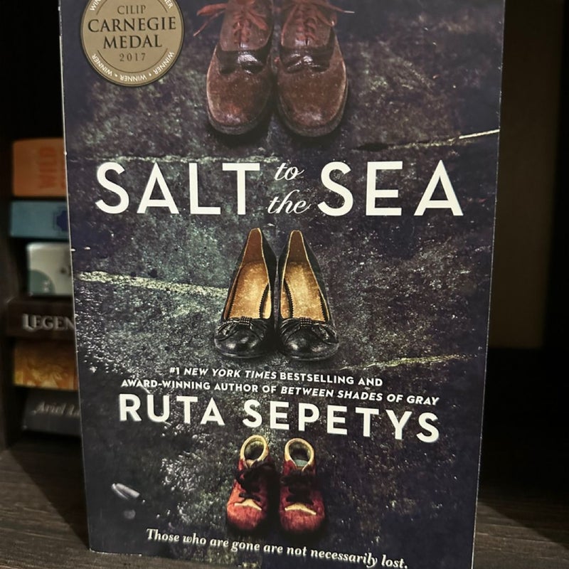 Salt to the Sea