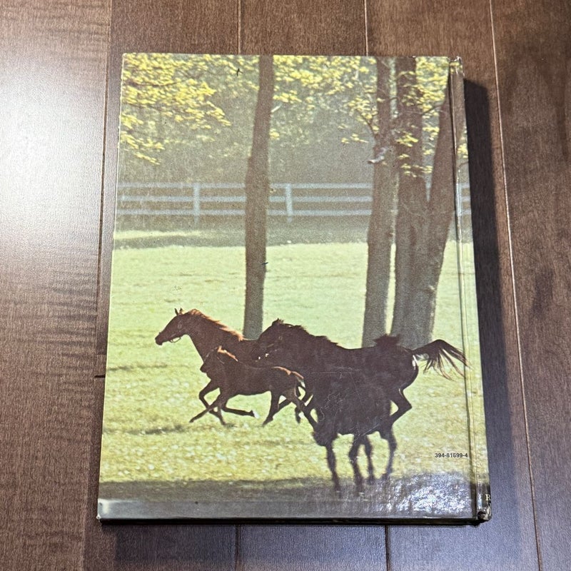All about Horses