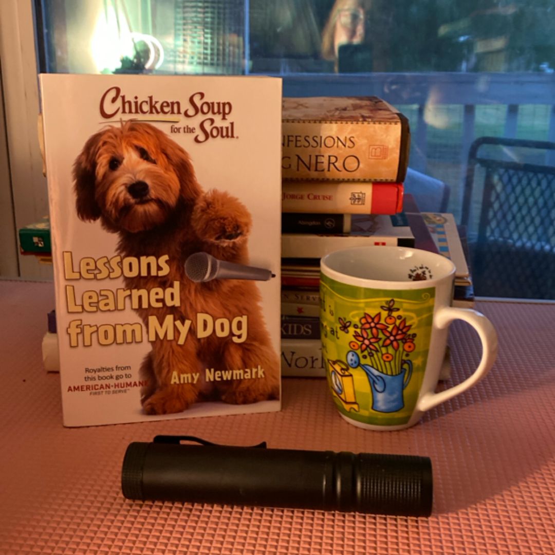Chicken Soup for the Soul: Lessons Learned from My Dog