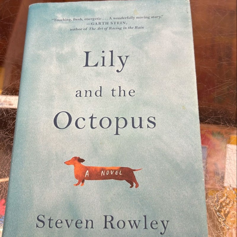 Lily and the Octopus