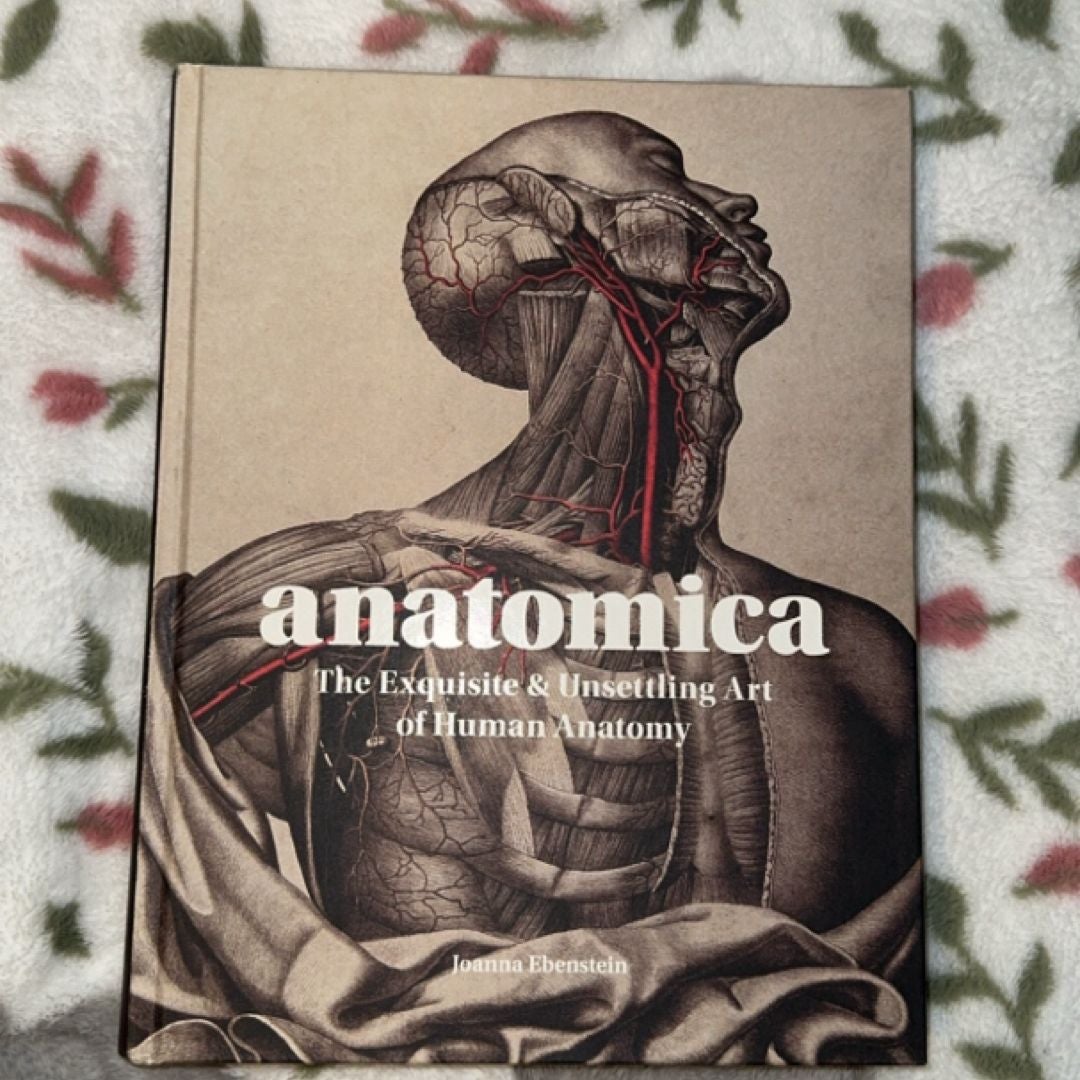 Anatomica