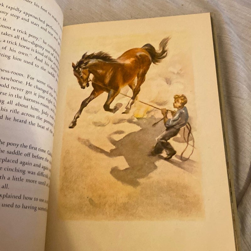 First Edition The Red Pony