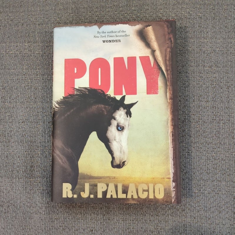 Pony
