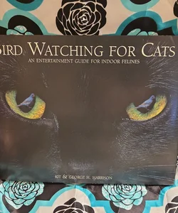 Bird watching for cats