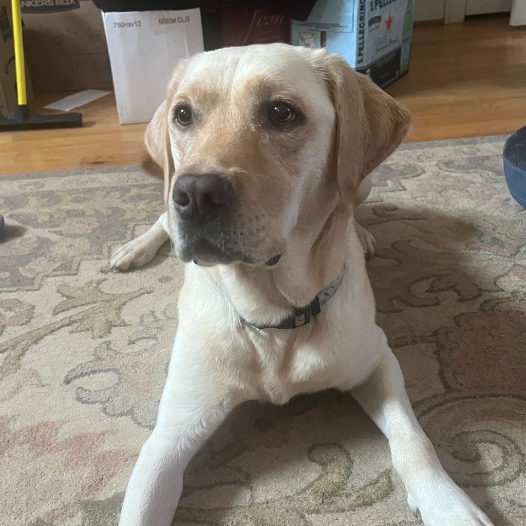 Teddy Loves Tales ☘️