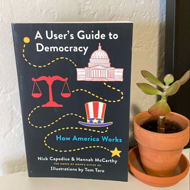 A User's Guide to Democracy