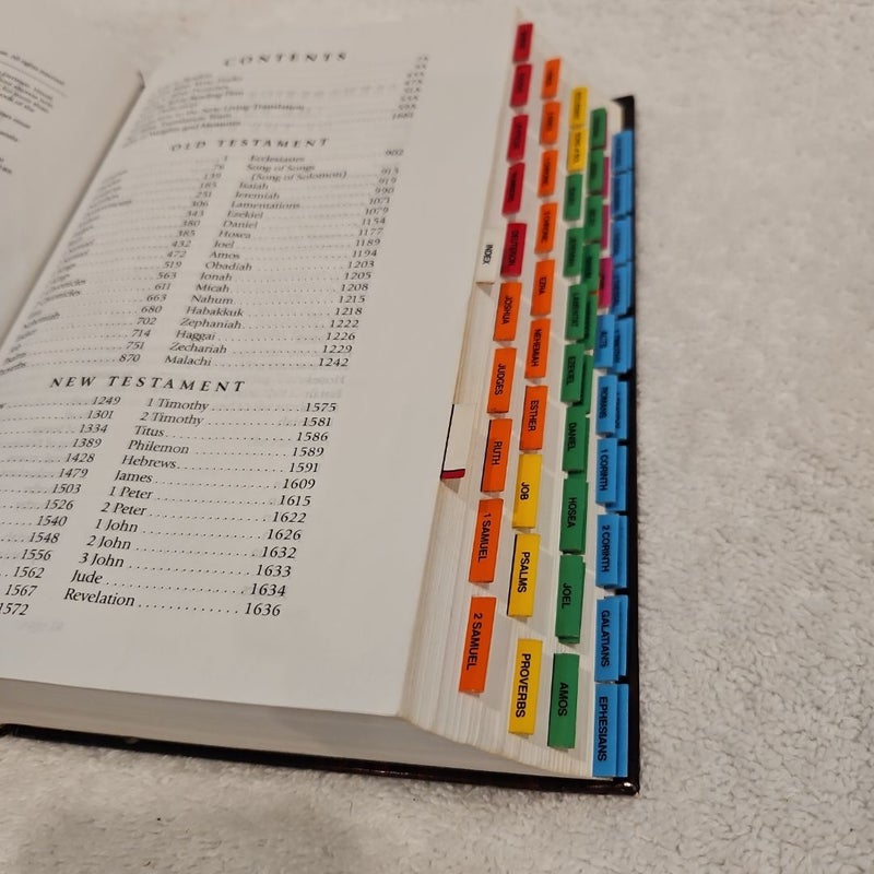 Holy Bible  People's Parallel Edition
