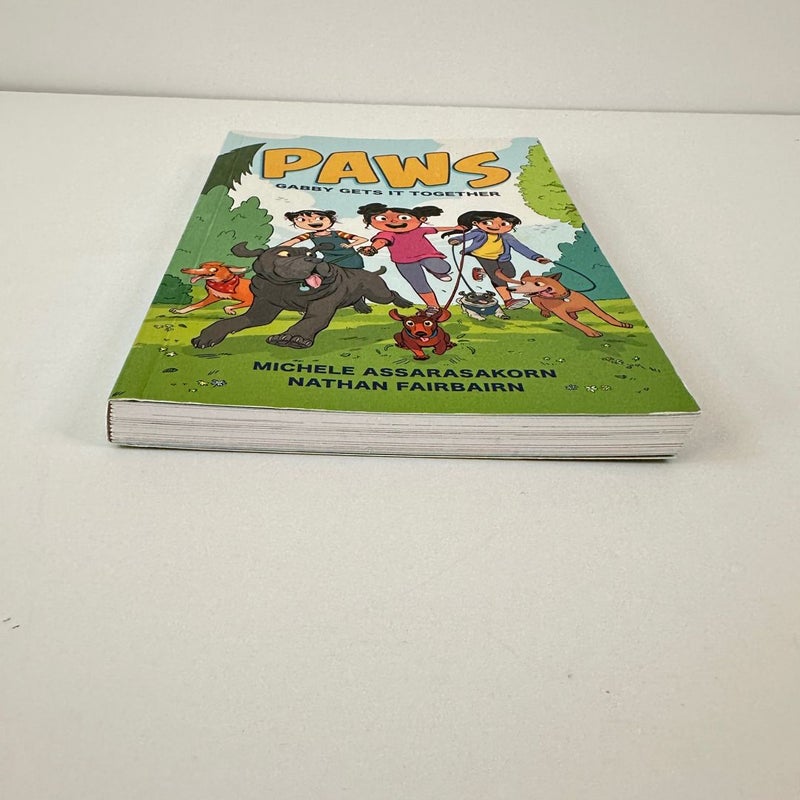 Paws, Gabby Gets it Together Graphic Novel