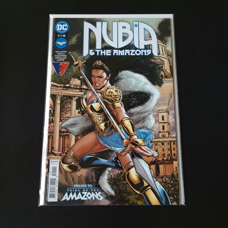 Nubia & The Amazons #1