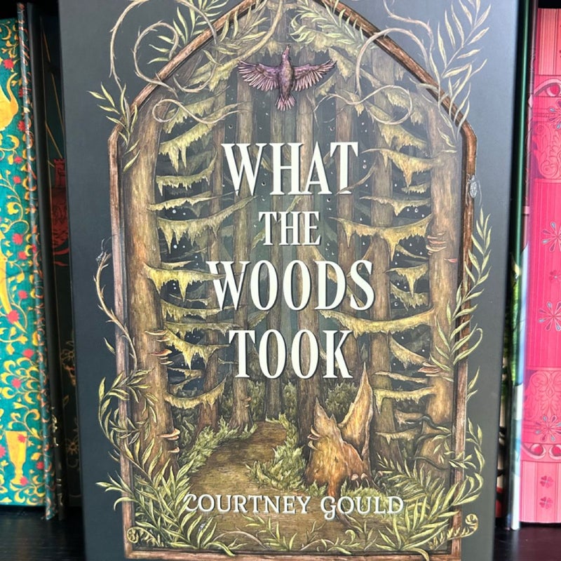 What The Woods Took 
