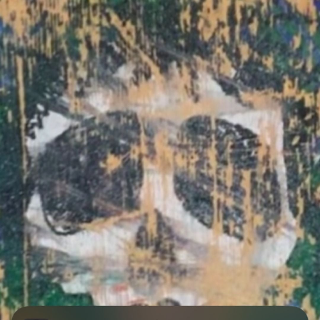 Old coo