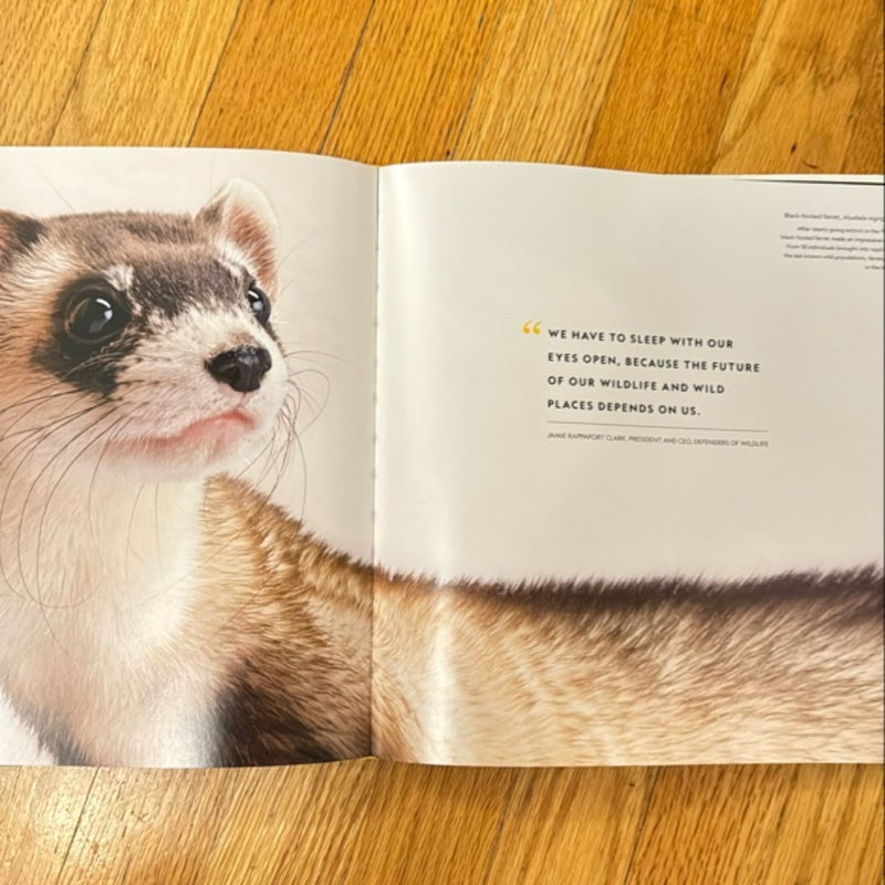 National Geographic the Photo Ark Vanishing