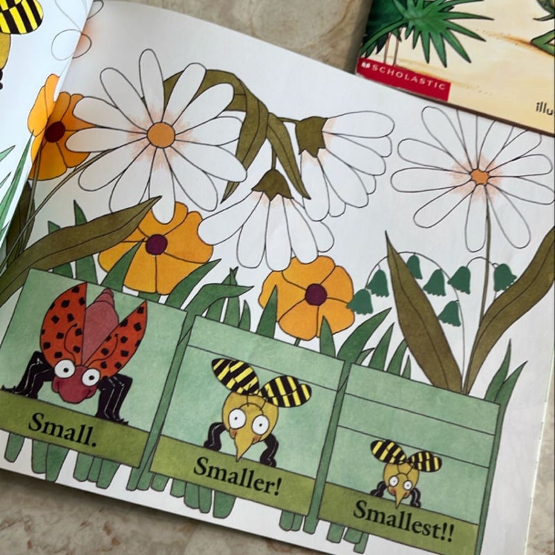 MathStart Book Bundle of 4