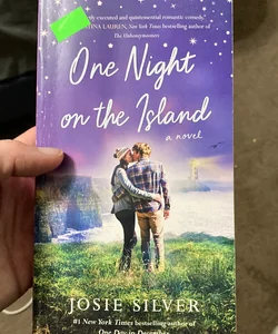 One Night on the Island